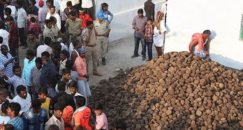 印度一村庄当街上演扔牛粪大战祈求好运健康