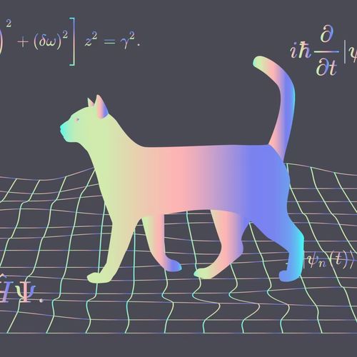 86年后,终于有人完成 真人版 薛定谔的猫实验,量子纠缠了活体动物
