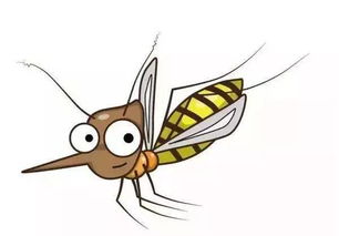 哪些人最招蚊子 和血型有关系吗 所谓的驱蚊大招哪些才有效 