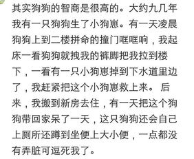 同学养的个乌龟平时一直窝在水里,有天我放大悲咒,它竟然露出头 