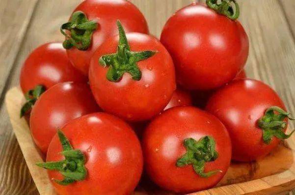 不成熟的绿色西红柿可以吃吗?如果你能吃,怎么做呢? 不成熟的绿色西红柿能吃吗