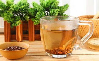 喝什么茶能防辐射 每天只需这四杯茶就够了