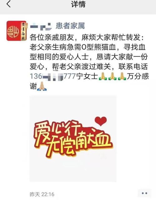 哈尔滨老人吐血急救,家属发朋友圈求 熊猫血