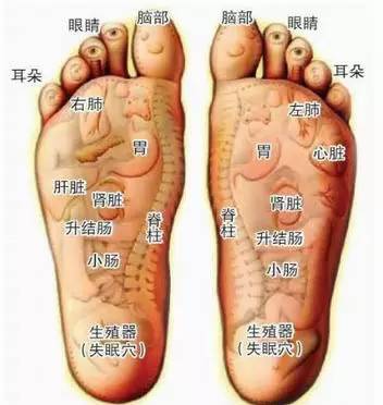 脚上有许多穴位神经_健康频道