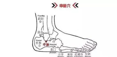 足部穴位图解知识详解