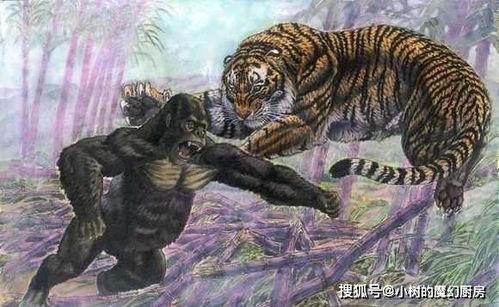 远东巨虎 洞狮 现代狮虎,谁才是猫科猛兽中的王中王