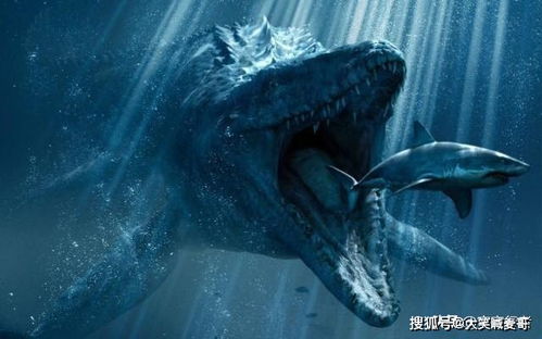巨齿鲨和沧龙对决,谁才是真正的史前海洋霸主