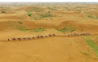 中国一片千年沙漠即将消失 40年治理换来生态奇迹