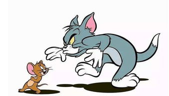 猫为什么吃老鼠和鱼?为了得到你身体需要的牛磺酸 猫为什么吃老鼠和鸟
