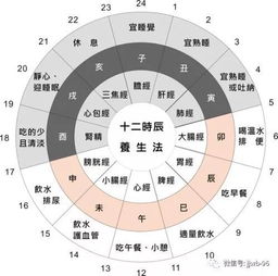 晚报寒假策划│寒假吃好,可不是光吃好吃的 