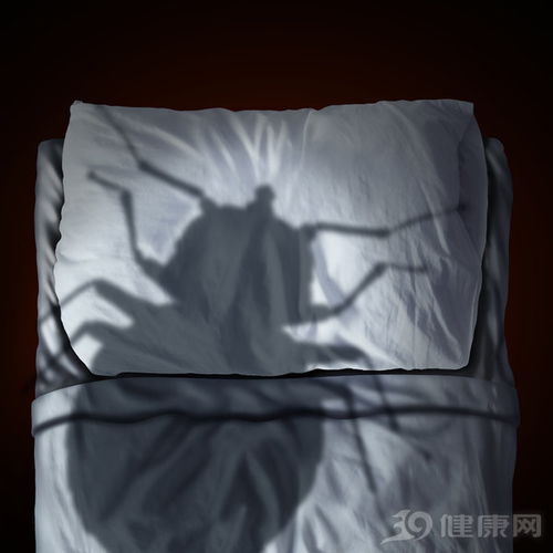 如何判断床上有螨虫 如何判断床上有没有虫