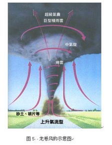 科普阅读 龙卷风形成原因及其影响 