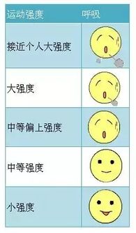 有氧运动和无氧运动的区别