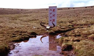 黄河源头,竟只有 碗口 大小,看到后很多人表示不敢相信