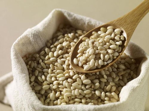 糙米比大米有更高的营养价值