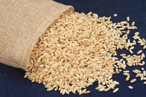 糙米你吃对了吗 发芽糙米口感好,营养价值高
