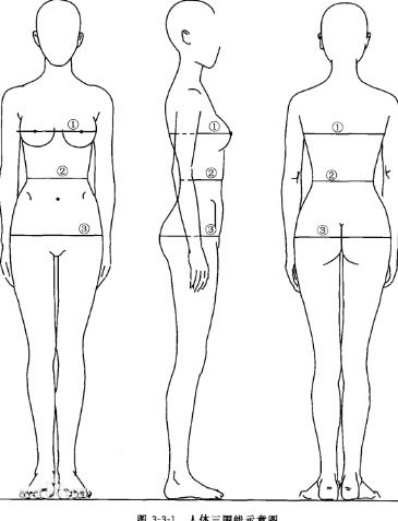按国家标准胸围和腰围的比例差是多少 腰围和臀围呢 