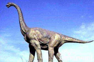 美国发现了一只活恐龙 据美国当地消息 美国发现了一只活恐龙博物馆