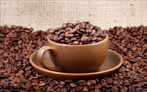 关于咖啡伴侣 奶精 植脂末和健康