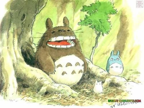 谁有宫崎骏 龙猫 中龙猫的图