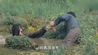 沼泽地 – 
