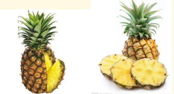 凤梨和菠萝一样吗 有什么区别 