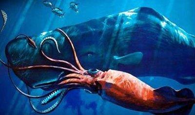 海洋中最危险的动物,水母竟排名第五,第一当之无愧