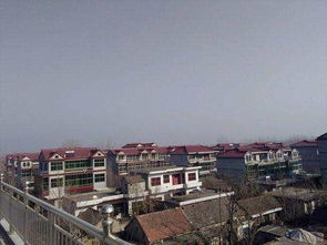 在临沂兰陵的一个土豪村, 村民盖的是三层别墅, 真是富有 