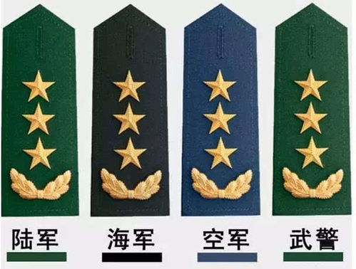 十八大以来23人晋升为上将 图解解放军军衔 