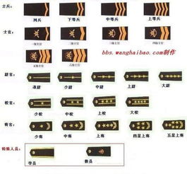 中国陆军军衔等级详细,及军衔标志 