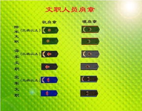 中国军衔等级和肩章标志求图片包括三军 