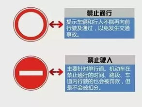 12分瞬间没了,路上遇见这些交通标志千万不要乱开