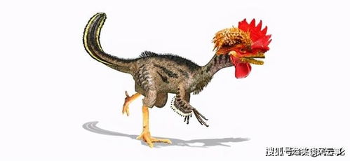 用鸡造恐龙 科学家逆向复活恐龙,大概率会造出它来