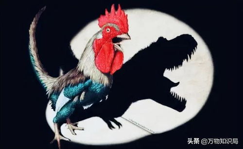 鸡是霸王龙后代 科学家用鸡的基因复活恐龙,真的能实现吗