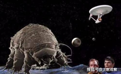 宇宙中最大的生物会有多大 有可能存在行星一样大的生命体吗