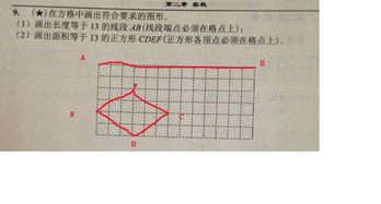 初二数学题 在方格中画出符合要求的图形 