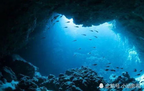 海底10000米有多恐怖 经验丰富的潜水员看到海底的情景都害怕