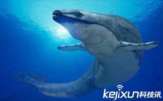 古蜥鲸龙王鲸梅尔维尔鲸远古巨兽大争霸 