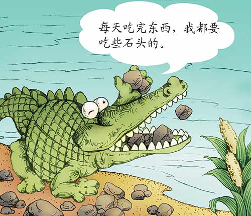 鳄鱼为什么喜欢吃石头 图