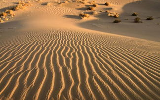 中国最干旱的沙漠塔克拉玛干沙漠(中国最干旱的沙漠服装提取什么)