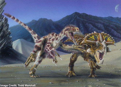 恐龙聚会 NASA后院发现八种动物脚印,距今已有一亿一千万年