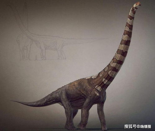 易碎双腔龙是迄今为止最大的恐龙(易碎双腔龙是什么)