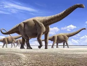 世界上最大的恐龙,易碎双腔龙 长80米 重220吨 