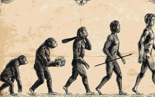 人类最终会进化成什么样 科学家说答案,人们却另有看法