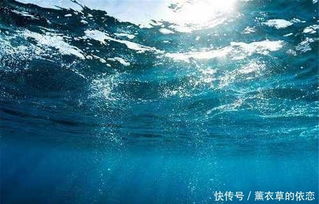 世界上最大的海,也是世界上最深的海,面积相当于半个中国那么大 