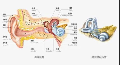 成都哪家医院治耳聋好 成都民生耳鼻喉医院怎么样