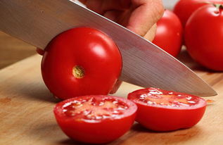 番茄到底算水果还是蔬菜 答案是 都行