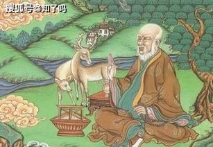 此人从未服过仙丹,却活了443岁,从唐朝一直活到元朝