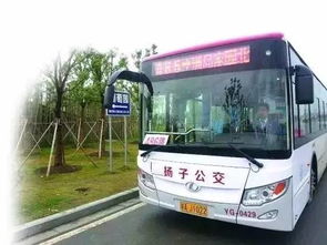 88站 南京史上最恐怖公交线竟要消失了 