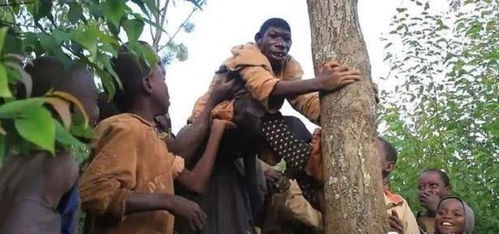 非洲 猴孩 艾力 长相返祖只吃水果,被同村人当动物欺凌